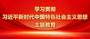 美女啪啪免费的网站学习贯彻习近平新时代中国特色社会主义思想主题教育_fororder_ad-371X160(2)